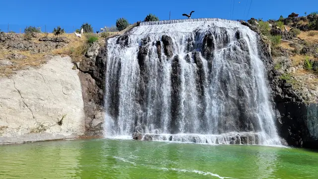 Kartaltepe Kent Ormanı